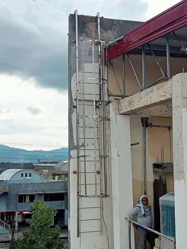 Stainless Steel Ladder
